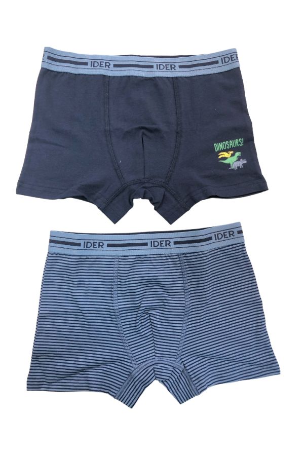 2-PACK ΑΓΟΡΙΣΤΙΚΟ BOXER ΜΕ ΕΞΩΤΕΡΙΚΟ ΛΑΣΤΙΧΟ ΚΑΙ ΤΥΠΩΜΑ ΔΕΙΝΟΣΑΥΡΟΙ ΚΑΙ ΡΙΓΕ